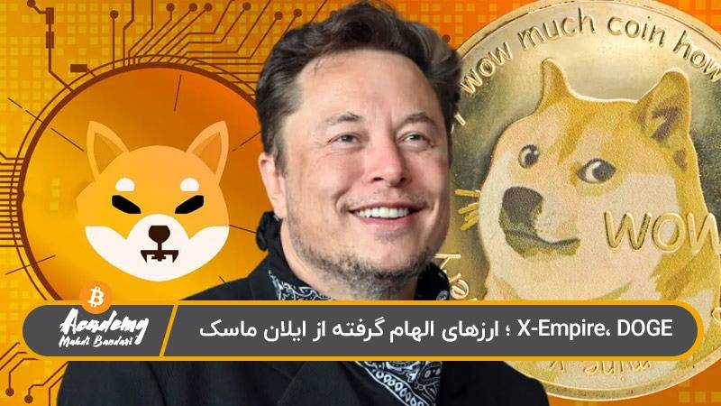 ارزهای مربوط به ایلان ماسک