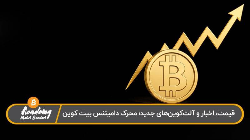عوامل موثر در دامیننس بیت کوین