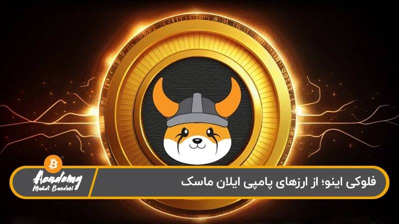 فلوکی اینو از ارزهای پامپی ایلان ماسک